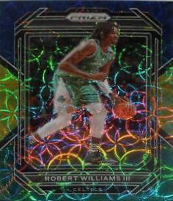 Robert Williams III
