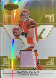 Carson Palmer