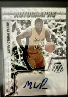Metta World Peace