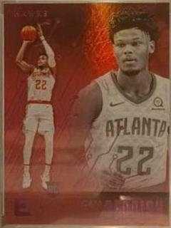 Cam Reddish