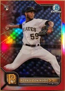 Roansy Contreras