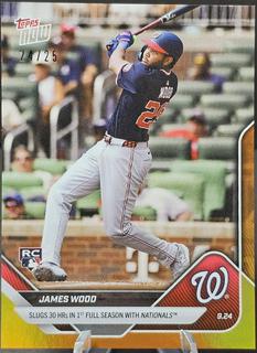 James Wood