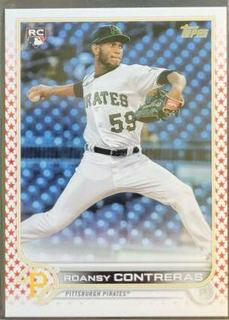 Roansy Contreras