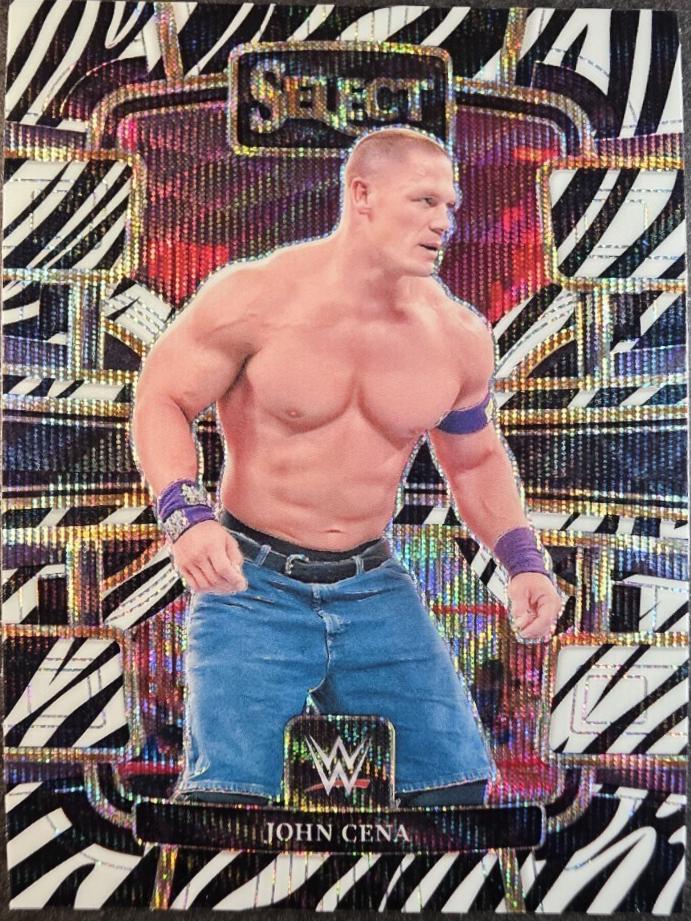 ザロック The Rock 22 PANINI SELECT WWE zebra 【公式通販】