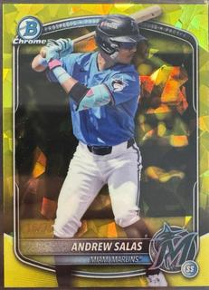 Andrew Salas