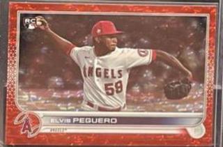 Elvis Peguero