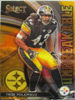 Troy Polamalu