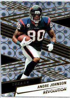 Andre Johnson