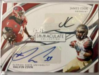 James Cook, Dalvin Cook