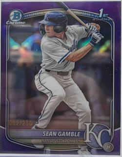 Sean Gamble
