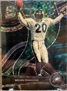 Brian Dawkins