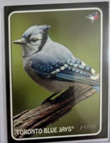 Toronto Blue Jays #75Z-5 Baseball Cards 2024 Topps Heritage Zoo's Who Stick-On