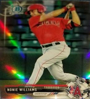 Nonie Williams