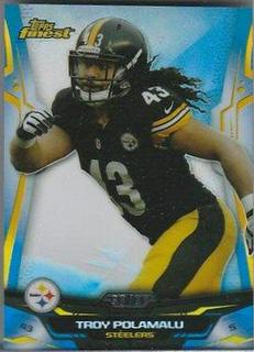 Troy Polamalu