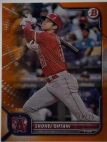 Shohei Ohtani