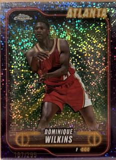 Dominique Wilkins