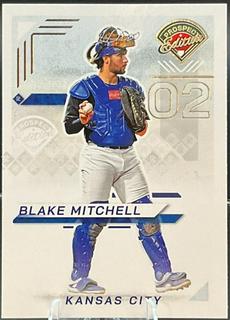 Blake Mitchell
