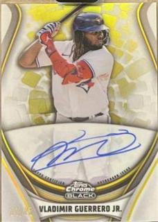 Vladimir Guerrero Jr.