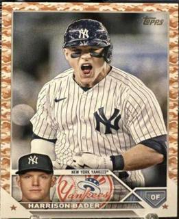 Harrison Bader