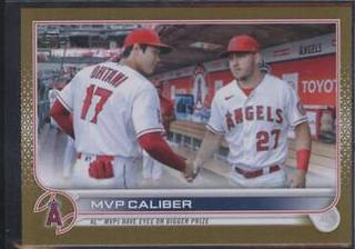 Mike Trout / Shohei Ohtani