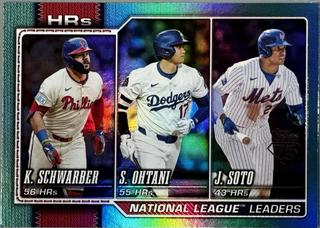 National League Leaders HRs