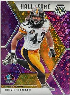 Troy Polamalu