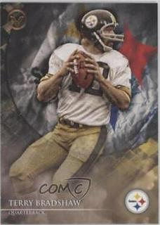 Terry Bradshaw