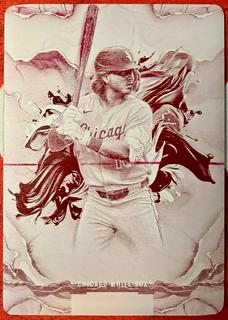 Chase Meidroth