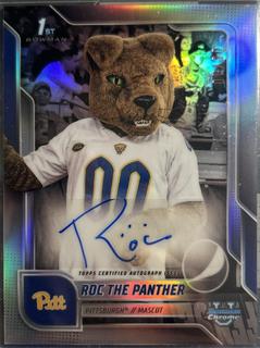 Roc The Panther