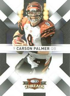 Carson Palmer