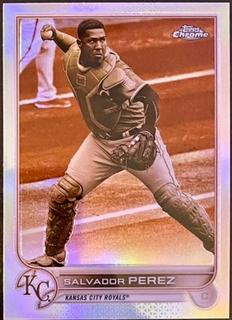 Salvador Perez