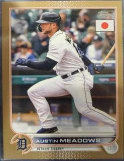 Austin Meadows