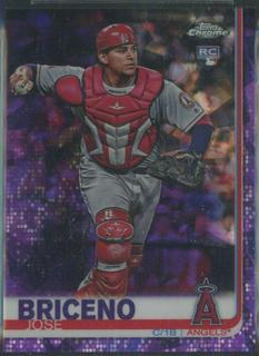 Jose Briceno