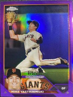 Mike Yastrzemski