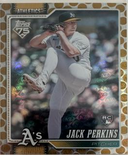 Jack Perkins
