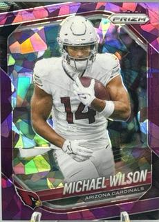 Michael Wilson