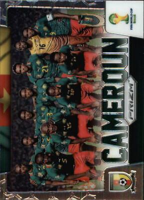 Cameroon #7 Soccer Cards 2014 Panini Prizm World Cup Team Photos