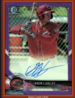 Gavin LaValley