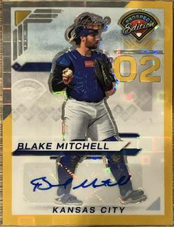 Blake Mitchell