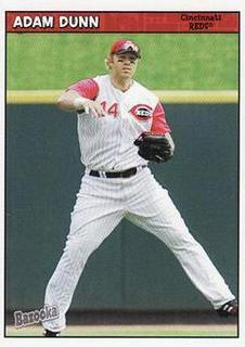 Adam Dunn