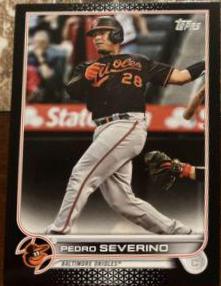 Pedro Severino