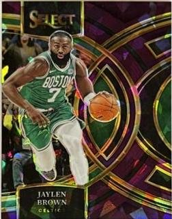 Jaylen Brown