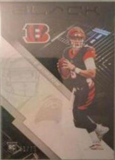 Joe Burrow