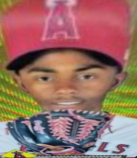 Raisel Iglesias