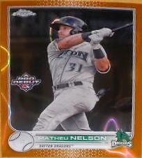 Matheu Nelson