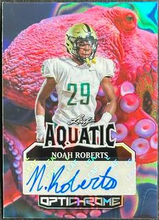 Noah Roberts