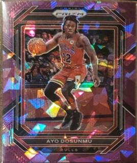 Ayo Dosunmu
