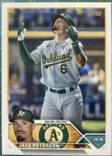 Jace Peterson