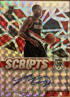 Marcus Camby