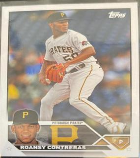 Roansy Contreras